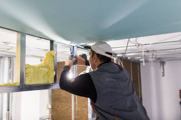Best Insulation Removal  in Bull Run Mountain Estates, VA